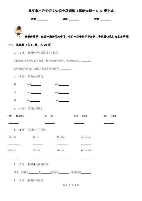 武汉市小升初语文知识专项训练(基础知识一)：5 查字典