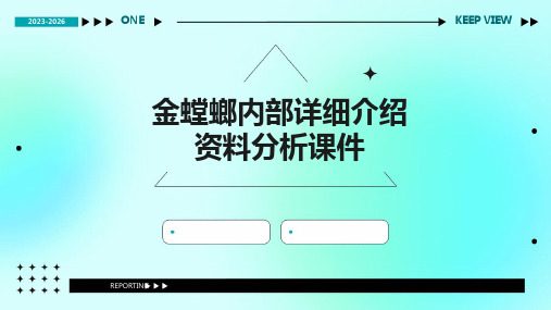 金螳螂内部详细介绍资料分析课件