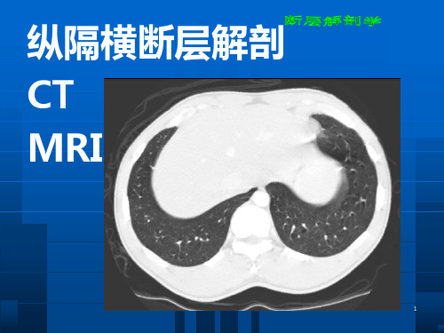 断层解剖学胸部4课件