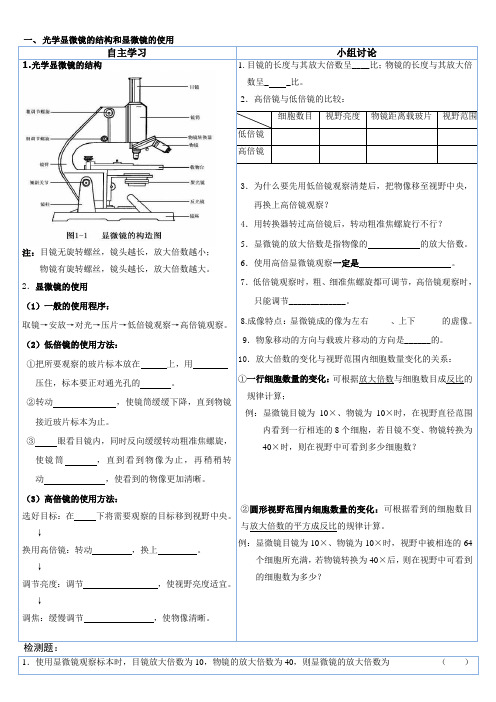 光学显微镜的结构和显微镜的使用