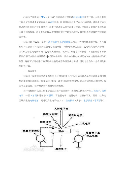 扫描电子显微镜