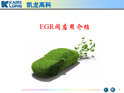 EGR系统介绍(产品)