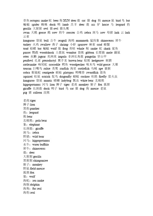 动物英文名100个大全