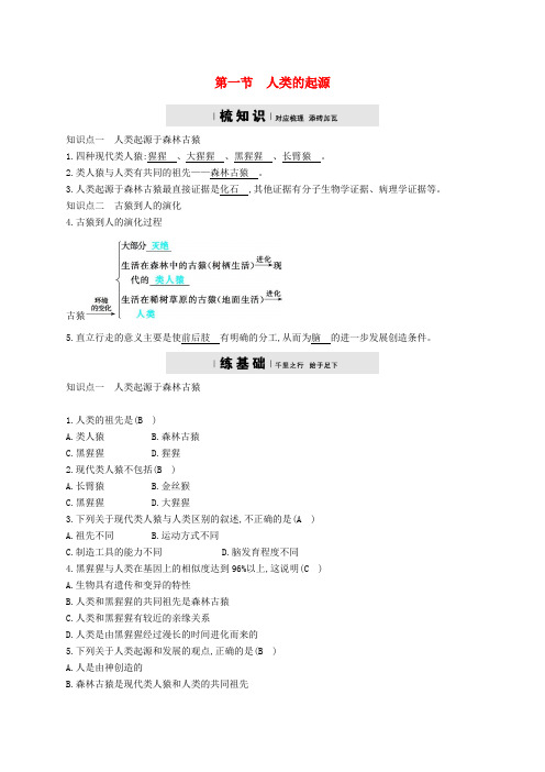 八年级生物下册5.2.1人类的起源 同步练习济南版9