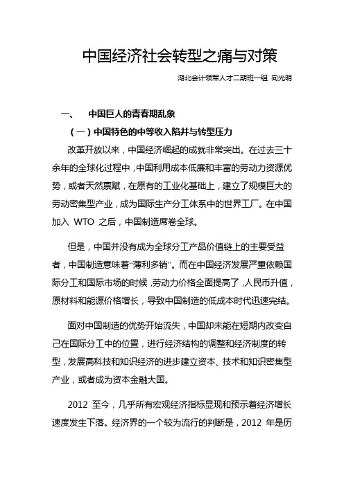 中国经济社会转型之痛与对策