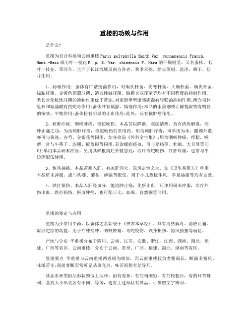 重楼的功效与作用