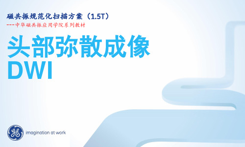 20.1.5T.DWI规范化扫描方案