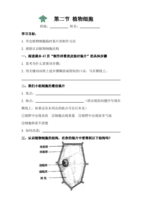 生物人教版七年级上册植物细胞导学案(附作业)