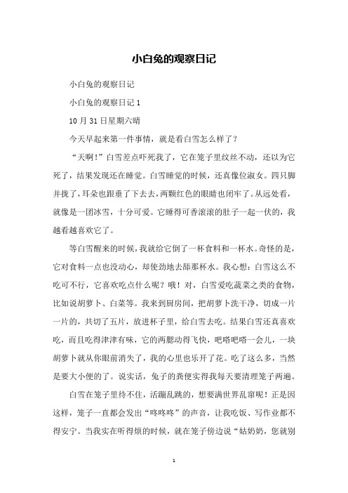 小白兔的观察日记