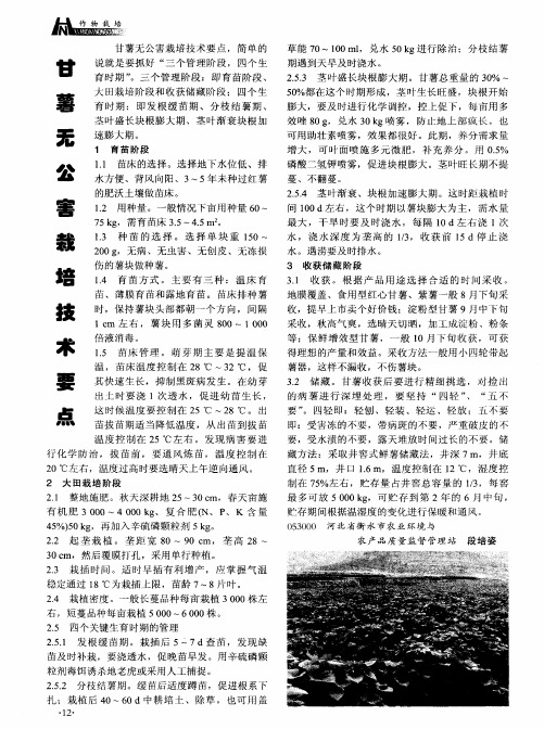 甘薯无公害栽培技术要点