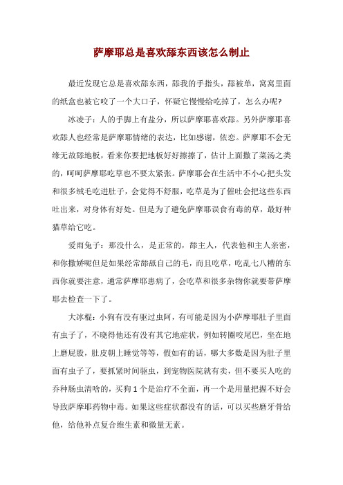 萨摩耶总是喜欢舔东西该怎么制止