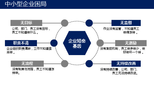 企业经营计划与执行管理教育图文PPT课件