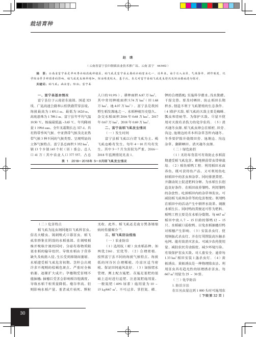 富宁县稻飞虱发生情况及防治措施