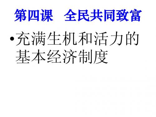 思想品德:第四课《全民共同致富》课件(鲁教版九年级)