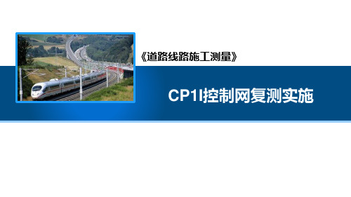 CP1I控制网复测实施