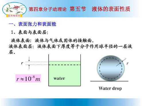 表面张力与表面能_2023年学习资料