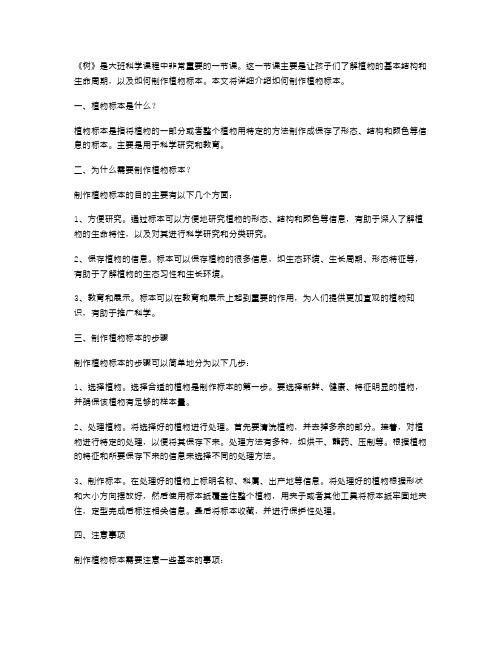 《树》大班科学课程教案：学习如何制作植物标本