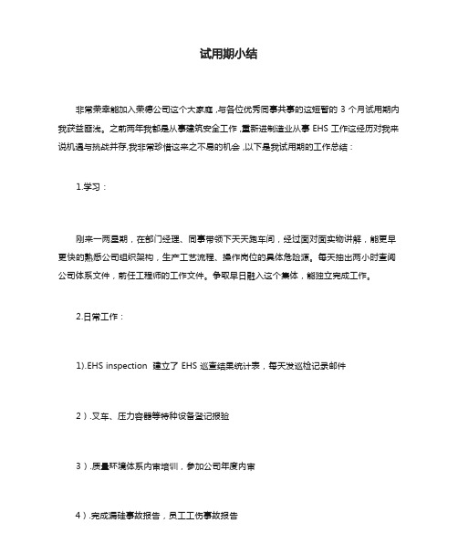 安全工程师试用期小结全新