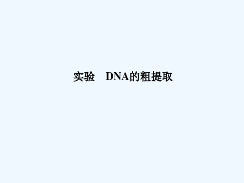 DNA的粗提取 PPT