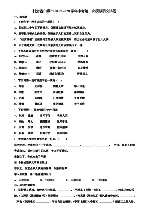 甘肃省白银市2019-2020学年中考第一次模拟语文试题含解析