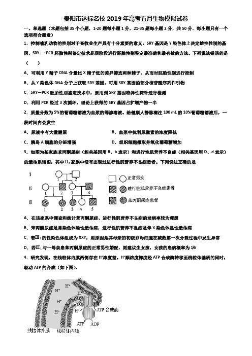 贵阳市达标名校2019年高考五月生物模拟试卷含解析