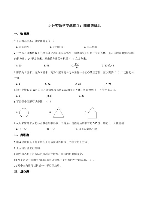 六年级下册数学试题-小升初数学专题练习：图形的拼组  人教课标版(含答案)