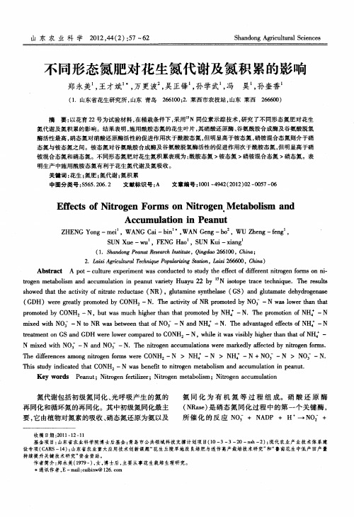 不同形态氮肥对花生氮代谢及氮积累的影响
