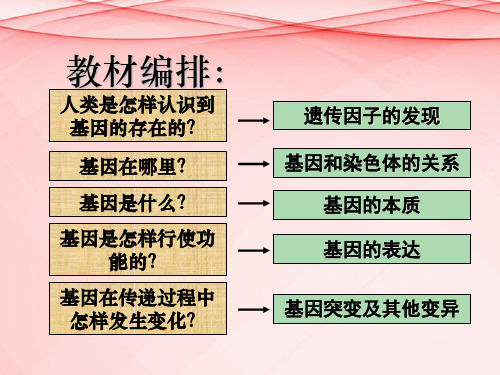 高中生物 5.1 基因突变和基因重组课件 新人教版必修2