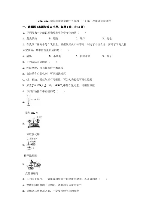 河南师大附中2021-2021学年九年级化学下学期第一次调研试题(含解析) 