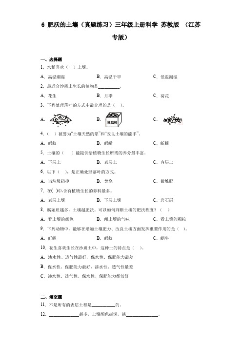 肥沃的土壤(真题练习)三年级上册科学苏教版(江苏专版)