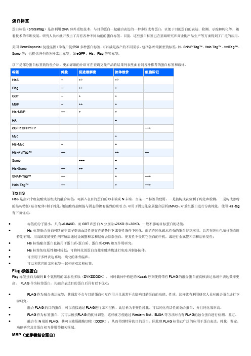 常见tag蛋白标签介绍