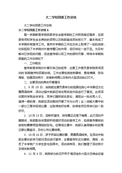 大二学校团委工作总结