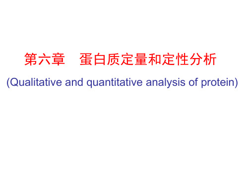 第六章  蛋白质定量和定性分析