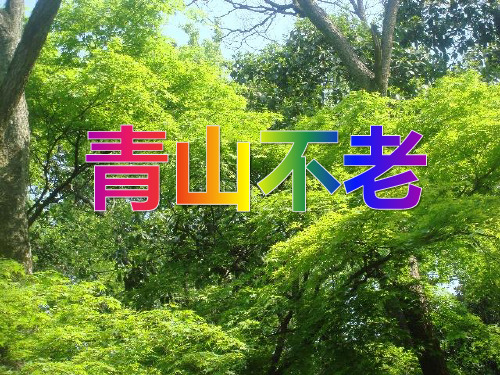 人教版(部编版)小学语文六年级上册第19课《青山不老》课件