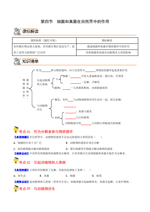 第四节  细菌和真菌在自然界中的作用(学生版)-2022-2023学八年级上册精品讲义