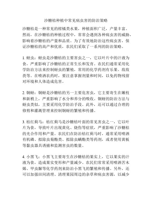 沙糖桔种植中常见病虫害的防治策略