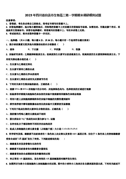 2023年四川省自贡市生物高三第一学期期末调研模拟试题含解析