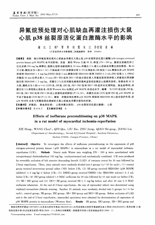 异氟烷预处理对心肌缺血再灌注损伤大鼠心肌p38丝裂原活化蛋白激酶水平的影响