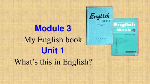 外研版英语七年级上册Starter Module 3 My English book Unit 1 41张