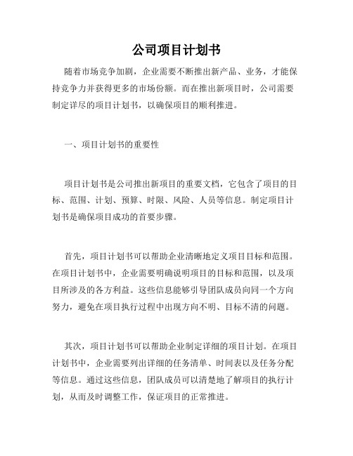 公司项目计划书