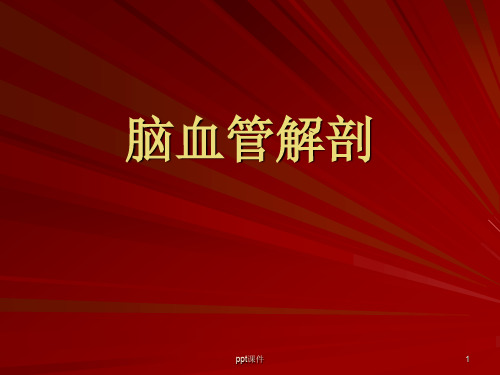脑血管解剖图 ppt课件