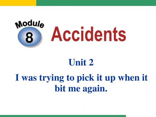 888Module8_Accidents__Unit2_I_was_trying_to_pick_it_up_when_it_bit_me_again.