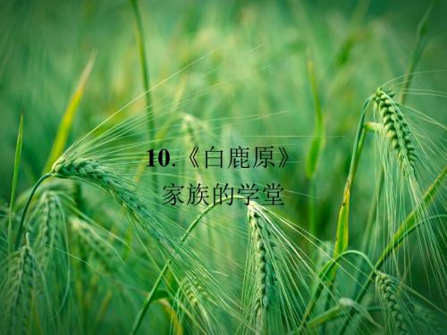 5.10《白鹿原》配套课件 新人教版选修《中国小说欣赏》课件