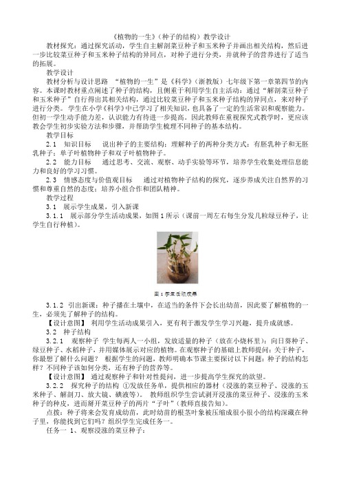 浙教版七年级科学下第一章第四节《植物的一生》(种子的结构)教学设计