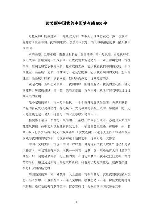 精选读美丽中国我的中国梦有感800字