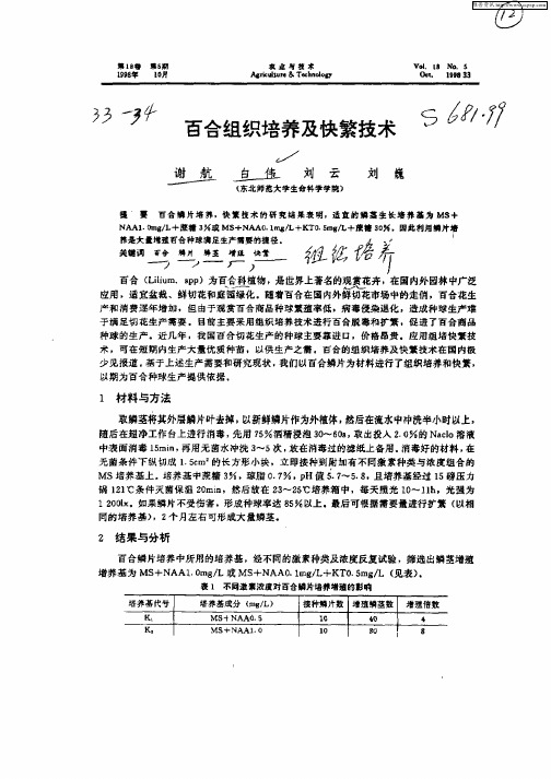 百合组织培养及快繁技术