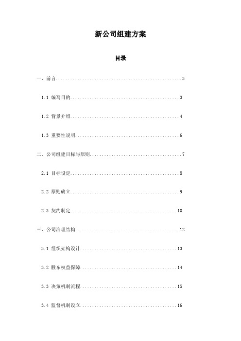 新公司组建方案