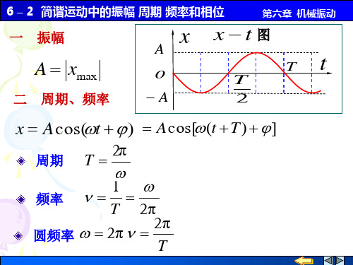 6-2简谐运动中的振幅 周期 频率和相位