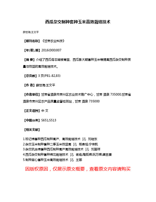 西瓜杂交制种套种玉米高效栽培技术
