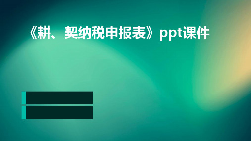 《耕、契纳税申报表》课件